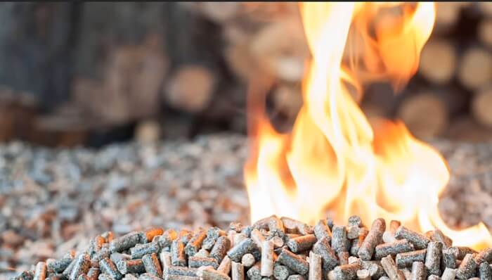 What to Burn in a Fire Pit & What Shouldn't?