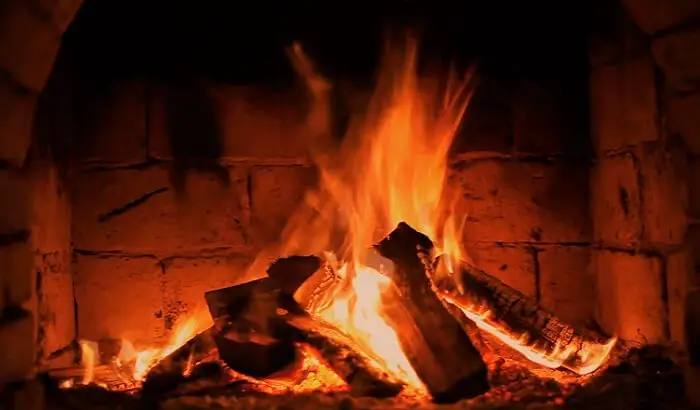 Is Burning Wood Bad for the Environment?