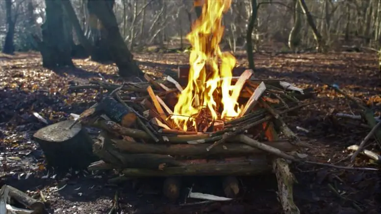 Can You Start A Fire With Wet Wood Or Is It Ok